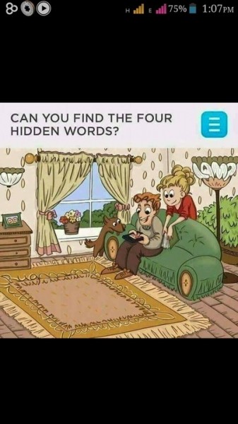 Four Words Are Hidden In The Picture, Can You Find Them??